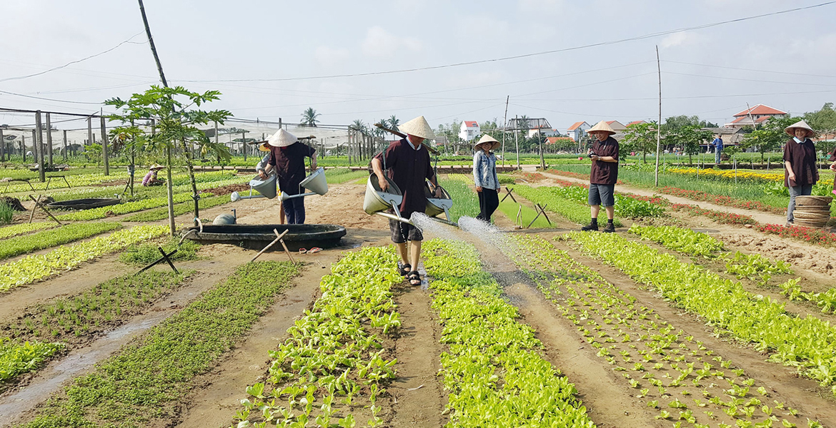 Hoi An Farming and Fishing Experience